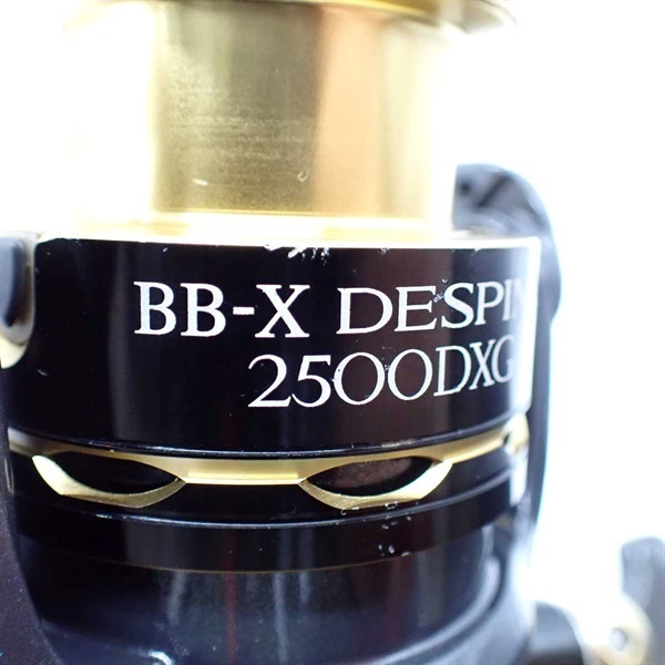 １１ＢＢ－Ｘ デスピナ２５００ＤＸＧ